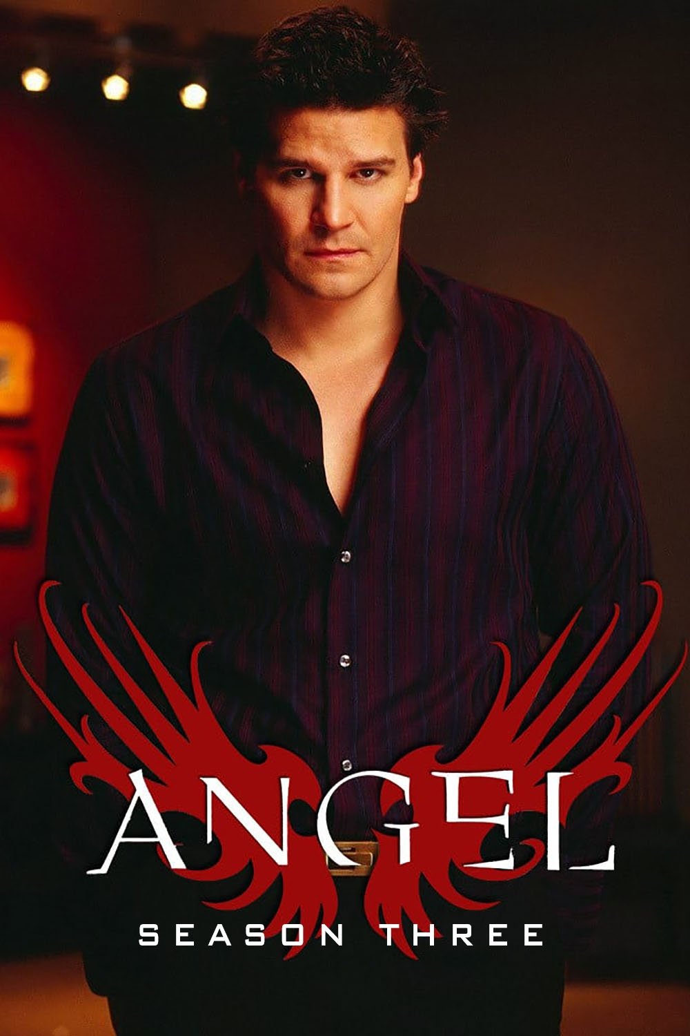 Angel - Season 3 [514589] (A1767480288) [[Shows]] --Plex--